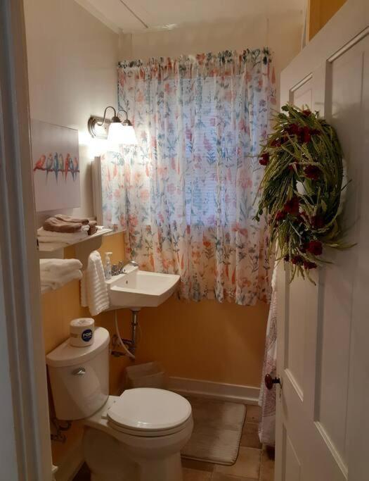 #05 - Lakefront Two Bedroom Cottage- Pet Friendly Hot Springs Extérieur photo